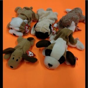 5 TY beanie babies dogs